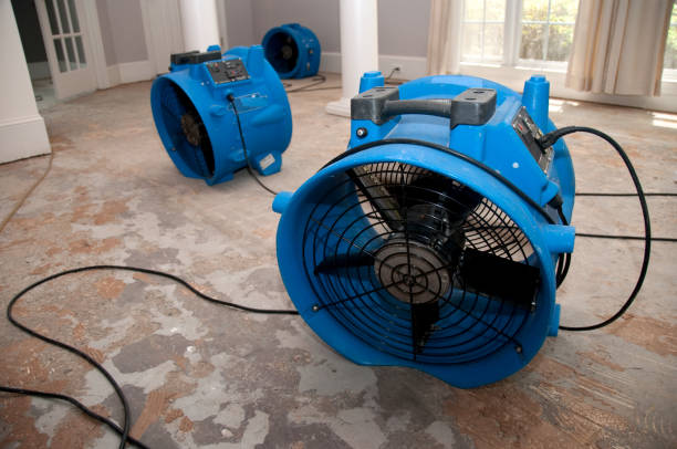 Best Mold removal after water damage  in Monon, IN