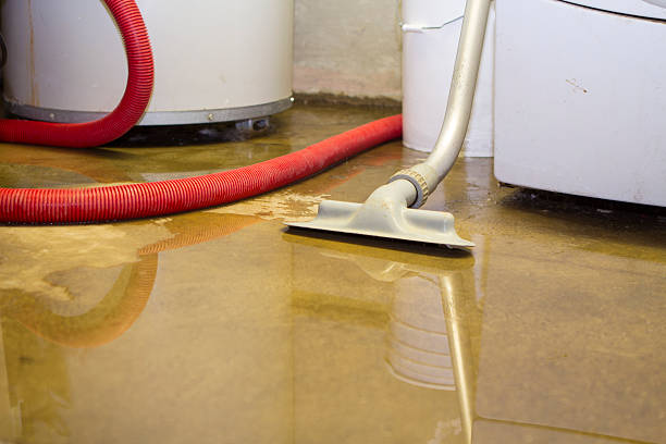 Best Flooded house restoration  in Monon, IN
