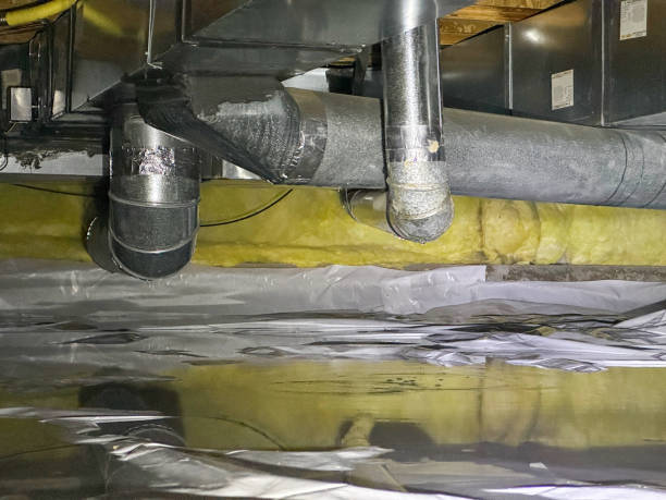 Best Local water damage restoration  in Monon, IN